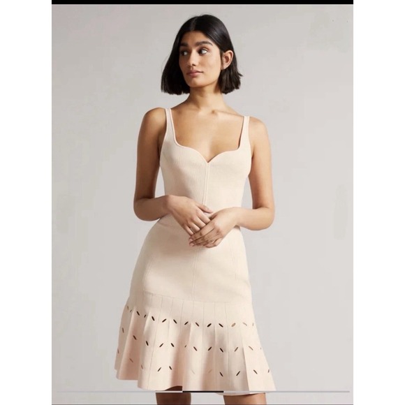 Ted Baker Dresses & Skirts - Ted Baker NWT $325 Full Needle Stitch Detailed Hem Mini Dress Size 6 Light Pink
